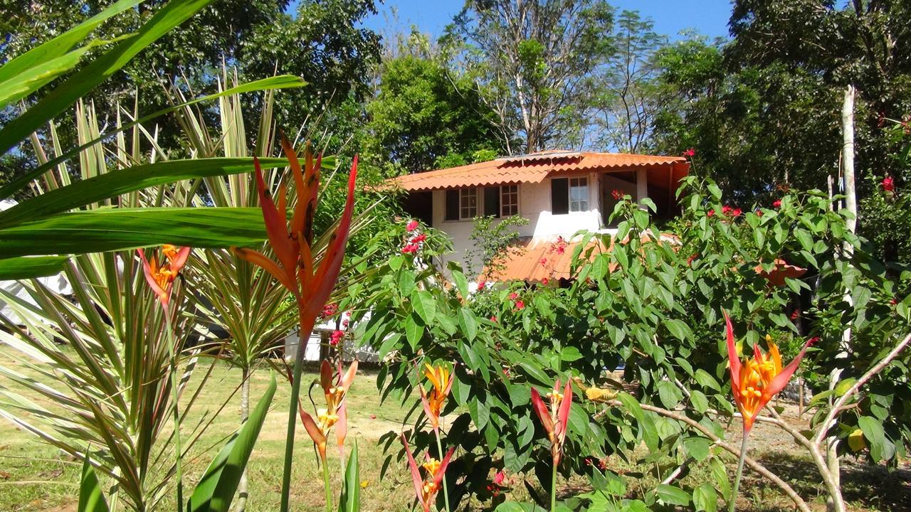 Cebaco Sunrise Lodge Isla Cebaco Exterior foto